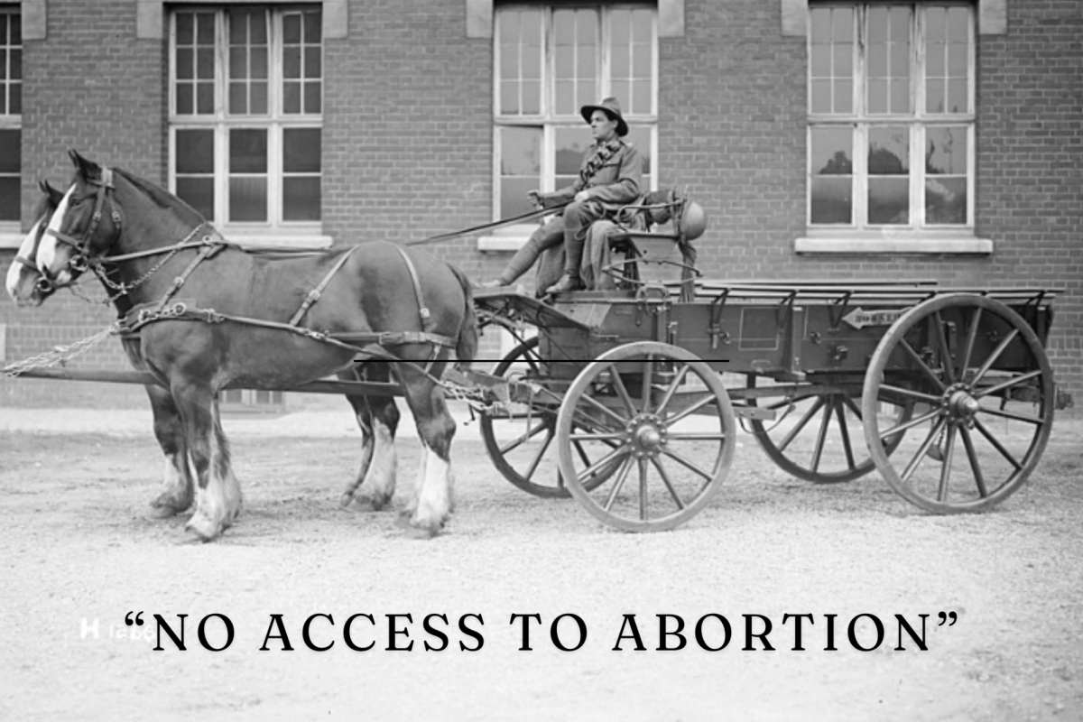 Arizonas Abortion Access