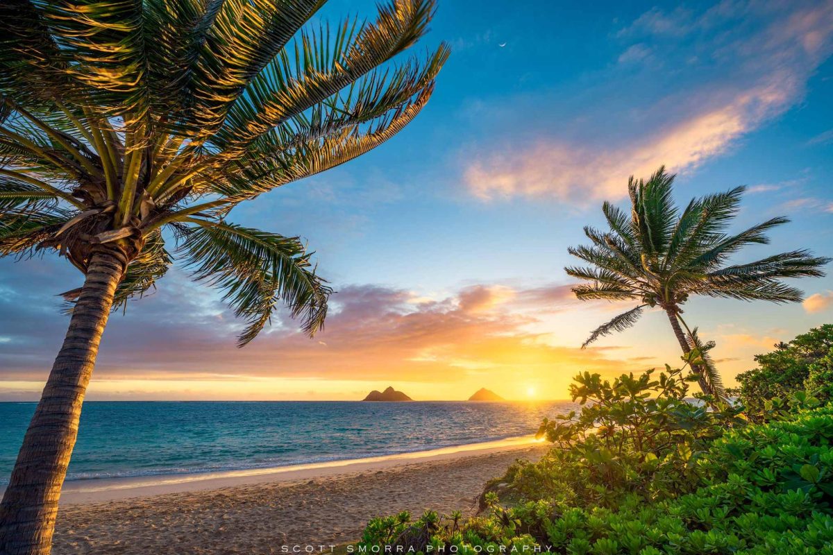What Island Destination is in Your Future?