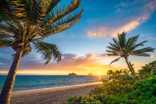 What Island Destination is in Your Future?