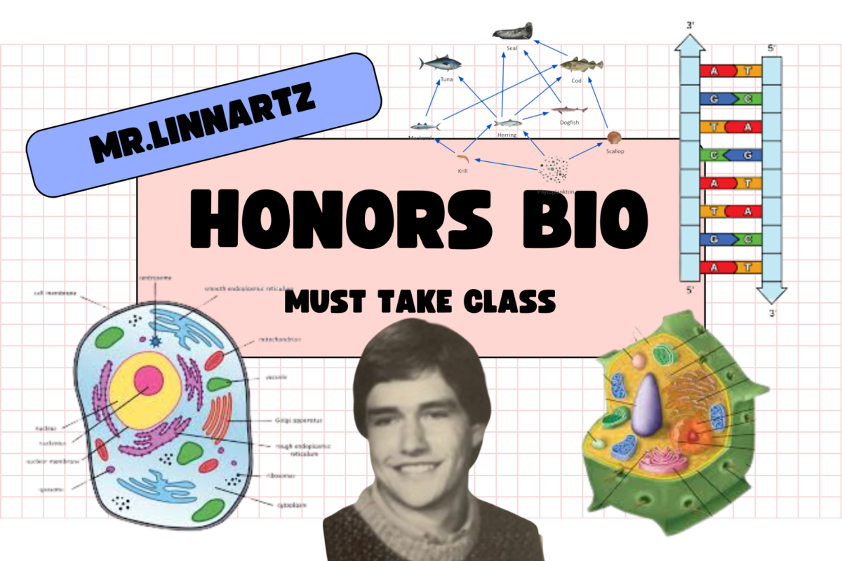 Mr. Linnartz: Honors Biology