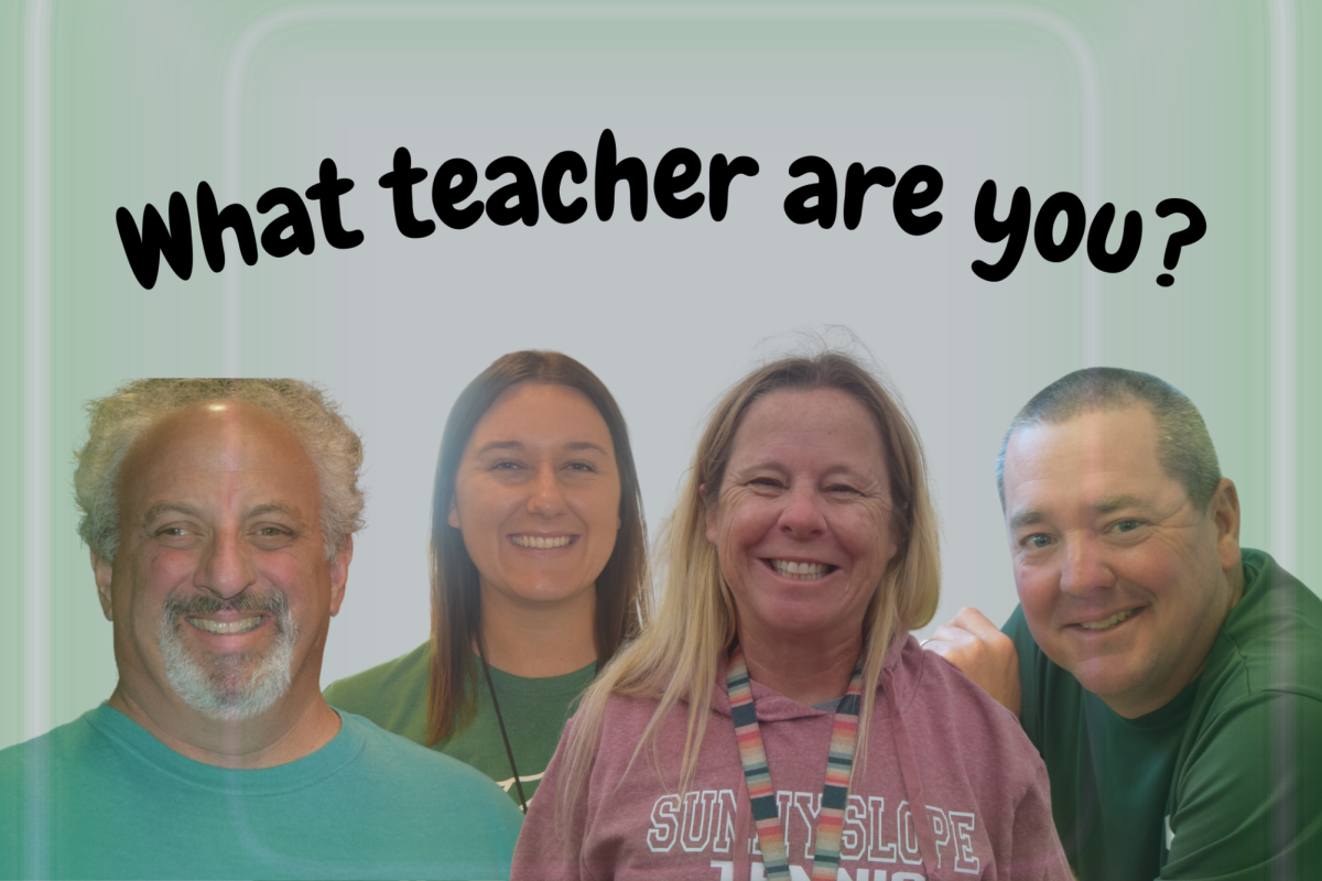 Which Teacher Are You?