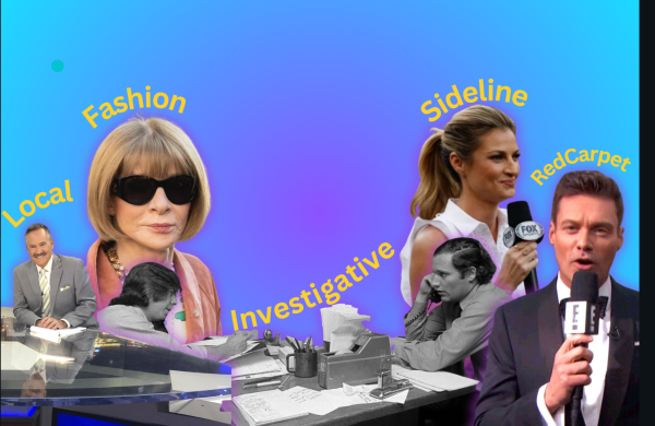 Which Reporter Are You?