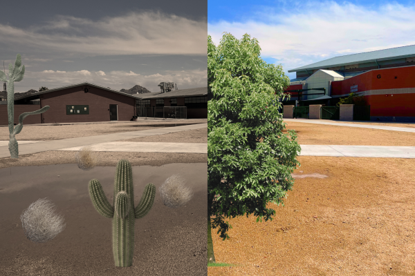 Updates on Class of '25 Tree Timeline