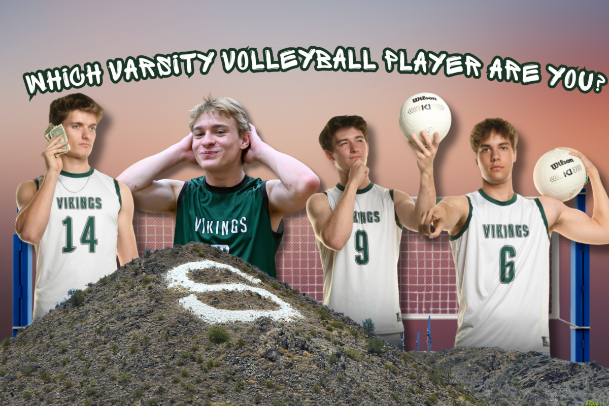 Which Varsity Boys Volleyball Player Are You?