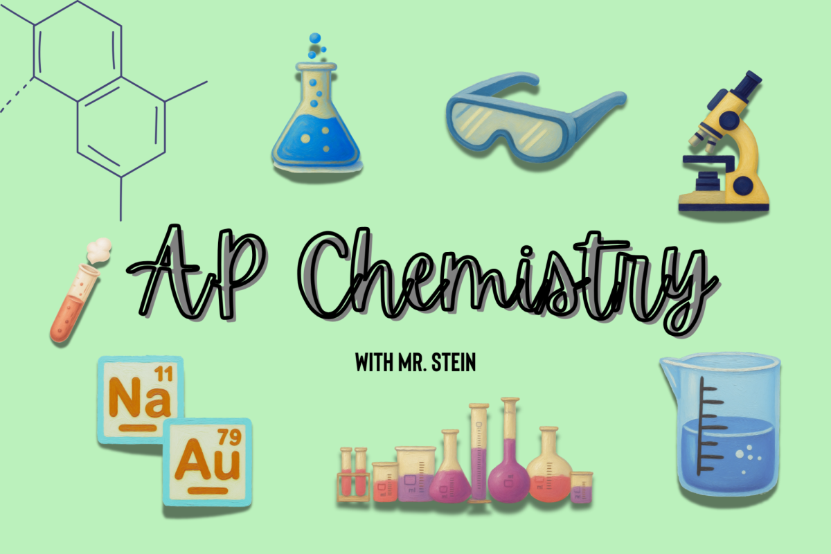 Mr. Stein