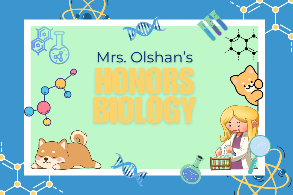 Mrs. Olshan