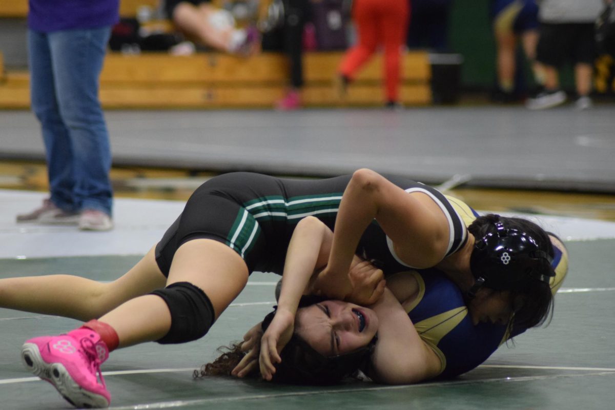 Sports (16)