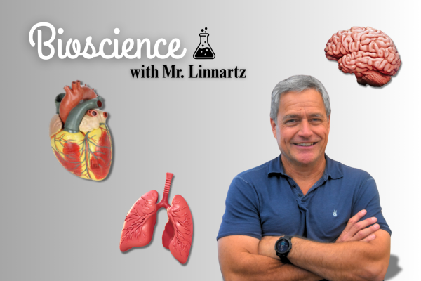 Mr. Linnartz
